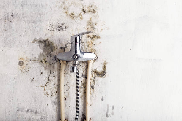 Best Water Damage Restoration  in Greenlawn, NY