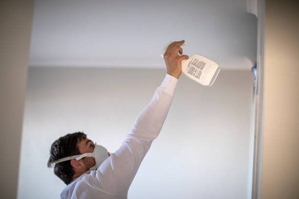 Best Certified Mold Removal  in Greenlawn, NY