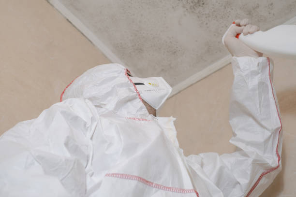 Best Professional Mold Removal  in Greenlawn, NY